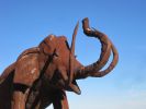 PICTURES/Borrega Springs Sculptures - Elephants, Gomphothe & Mammoths/t_IMG_8895.JPG